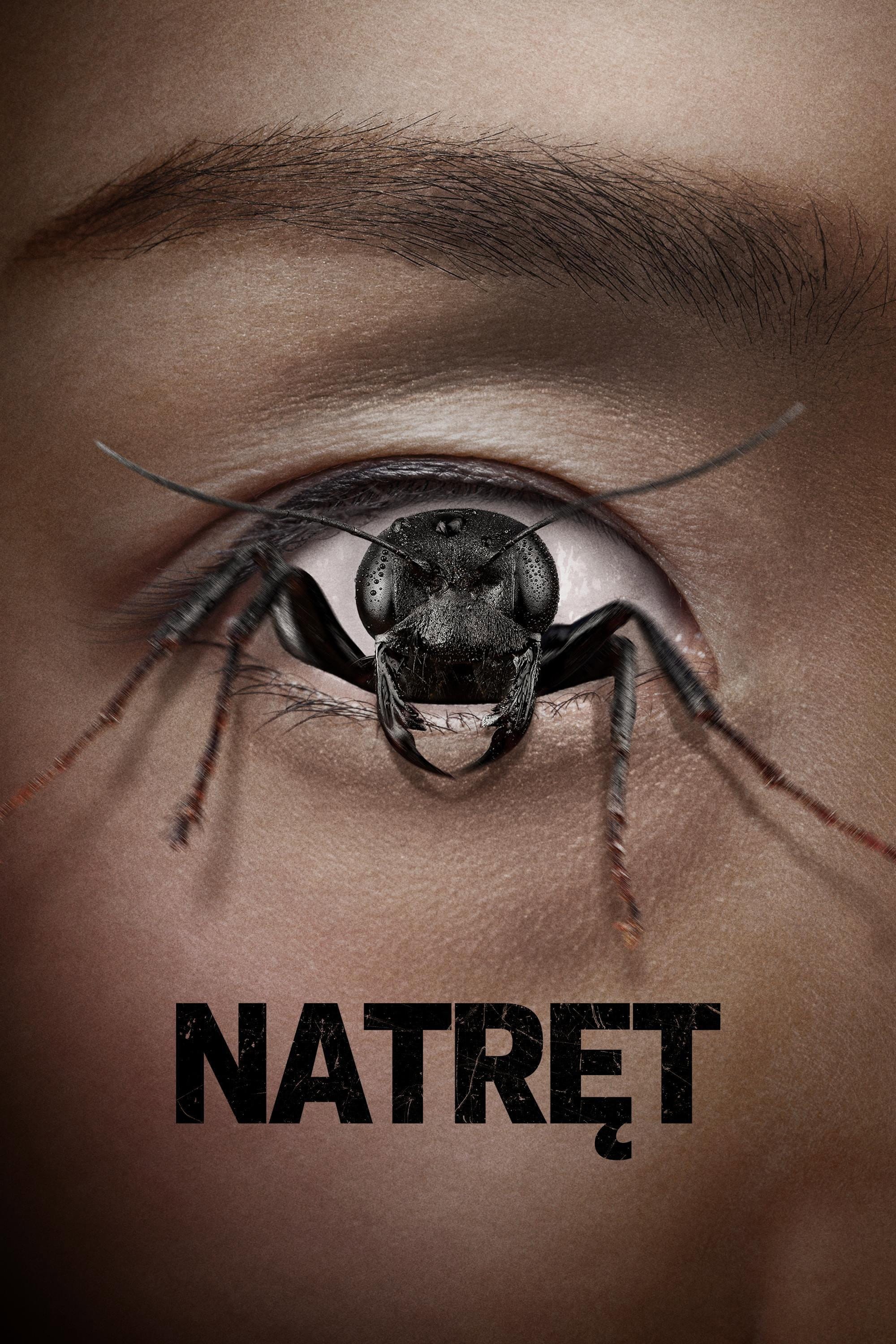 Natręt